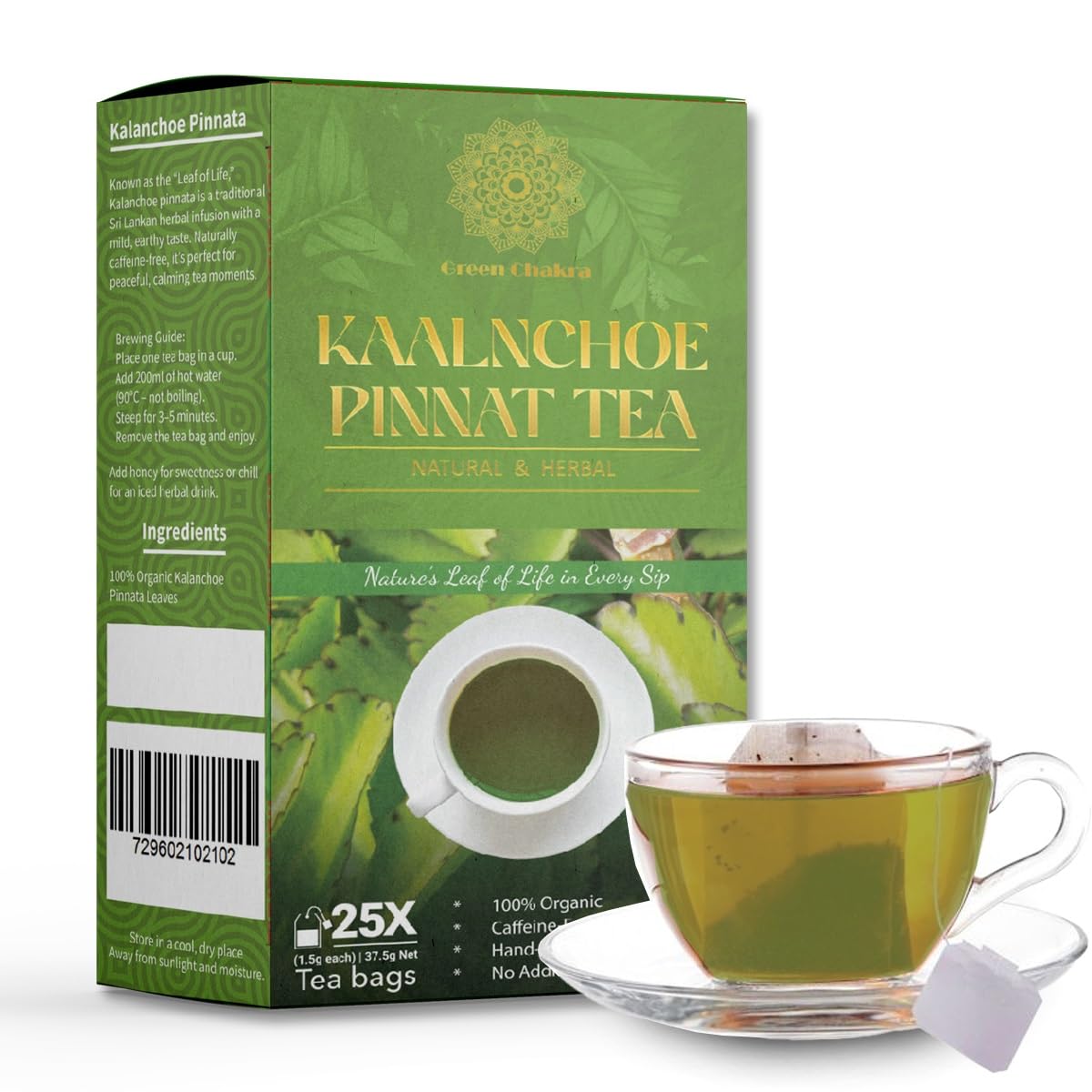 Kalanchoe Pinnata Herbal Tea Bags (25 Count) - Pure Leaf Tea, Naturally Dried, Caffeine-Free Botanical Infusion, Premium Quality Herbal Tea