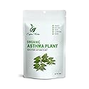 Astma Leaves Powder Euphorbia Hirta 100% Natural Dried Leaves Finely Ground Pure & Clean Culinary Grade No Additives or Preservatives