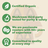 Harmonic Grounds Medium Roast Mushroom Coffee | Organic Ground Coffee with Functional Mushrooms | Lion’s Mane, Reishi, Chaga, Cordyceps, Turkey Tail |