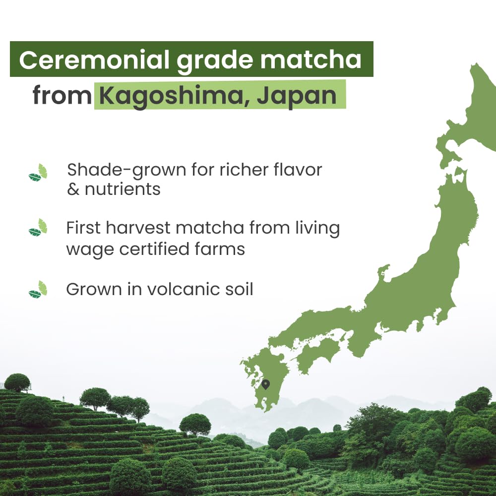 PureChimp Ceremonial Grade Matcha Powder 1.75oz. Pure Japanese Matcha Ceremonial Grade Tea, Shade-Grown in Kagoshima. Antioxidant-Rich Green Tea