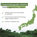 PureChimp Ceremonial Grade Matcha Powder 1.75oz. Pure Japanese Matcha Ceremonial Grade Tea, Shade-Grown in Kagoshima. Antioxidant-Rich Green Tea