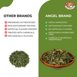 Angel Brand Guinea Hen leaves Tea - 0.5 oz Pouch Pack of 3 Sourced From Lush Tropics, Discover Potent & Versatile Qualities of Our Premium Anamu Plant