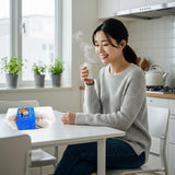 Korean Premium Snacks Sweet Rice Yak Gwa Honey Cookies 10 PCS 300g Individual ??