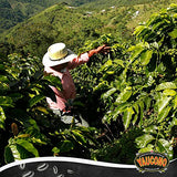 Yaucono Ground Coffee Bagged, 8 Ounce (Pack of 1)