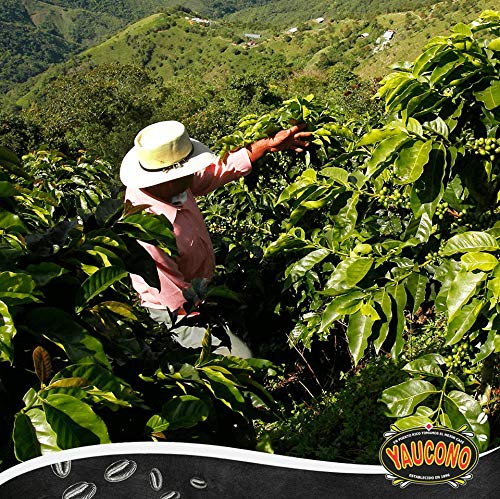 Yaucono Ground Coffee Bagged, 8 Ounce (Pack of 1)