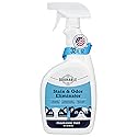 Odorable Stain & Odor Eliminator (32 oz) - Professional Cleaner for Pet Urine, Vomit & Feces, Safe on Carpet, Couch & Floor, Pet Stain Eliminator