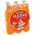 ULUDAG Portakal GAZOZ Legendary Soft Drink Orange Flavored Soda (6x250ml)