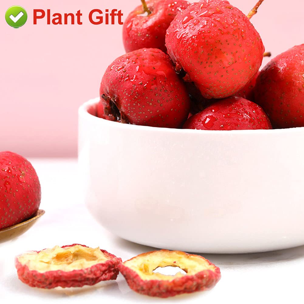 Plant Gift Hawthorn tea appetizing, chinese hawthorn berry tea Fruit Tea 80g