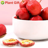Plant Gift Hawthorn tea appetizing, chinese hawthorn berry tea Fruit Tea 80g