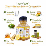 Ginger Lemon & Honey Concentrate Juice by Annoor |8.5 Fl Oz | NFC | No pulp. Easy to mix | Use in Detox Water, Refreshers, Ginger Lemon Tea