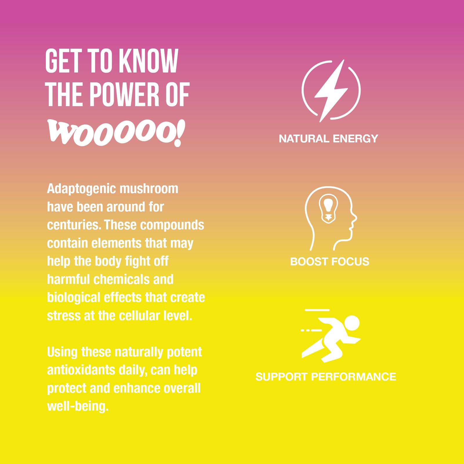 Wooooo! Energy Ric Flair Sparkling Adaptogenic Mushroom Energy Drink | Natural Antioxidants & Nootropics | Lion’s Mane & Cordyceps | 150mg Caffeine |
