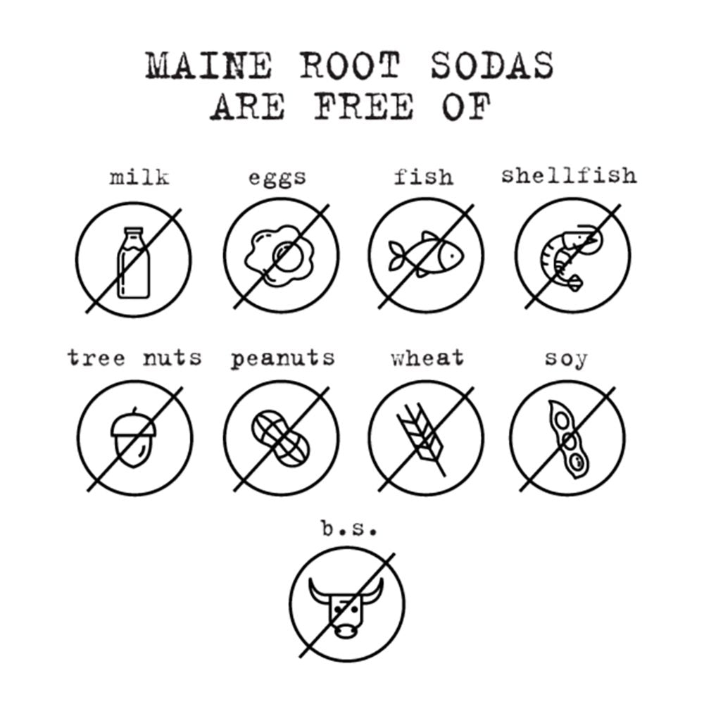 Maine Root Hand Crafted Root Beer Soda, 12 fl oz (24 Glass Bottles)