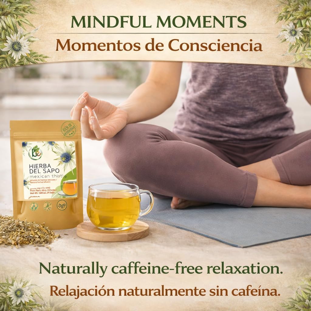 Hierba del Sapo Mexican Herbal Tea - 24 Premium Tea Bags (2000mg per Bag) - Authentic 100% Natural Mexican Thistle (Eryngium heterophyllum)
