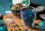 Butterfly Pea Flower Tea Clitoria ternatea, blue butterfly pea flower dried Herb Tea 100 grams