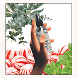 Deuce Truce - Before You Poo Toilet Spray - Peppermint Eucalyptus - 4 fl oz - Strong, Effective, Easy To Use - Scent, Deuces Wild - Peppermint