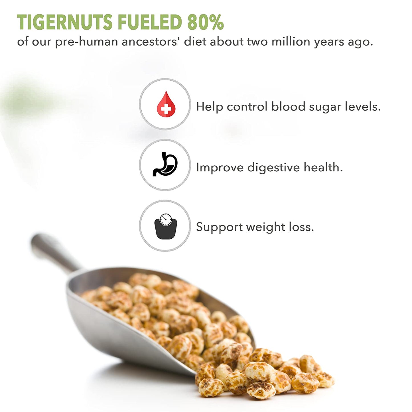 Skyland Kitchen Organic Sliced Tigernuts 12oz, Nut-Free, Raw Snack, Gluten-Free, Vegan, Paleo Friendly, High Fiber, Non-GMO