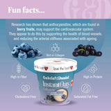 Gabriel & Daniel Instant Oatmeal w/Blueberries, Açaí & Collagen - Non-GMO, Pure and Organic Gluten Free Oats - High Protein & Fiber for Skin, Heart