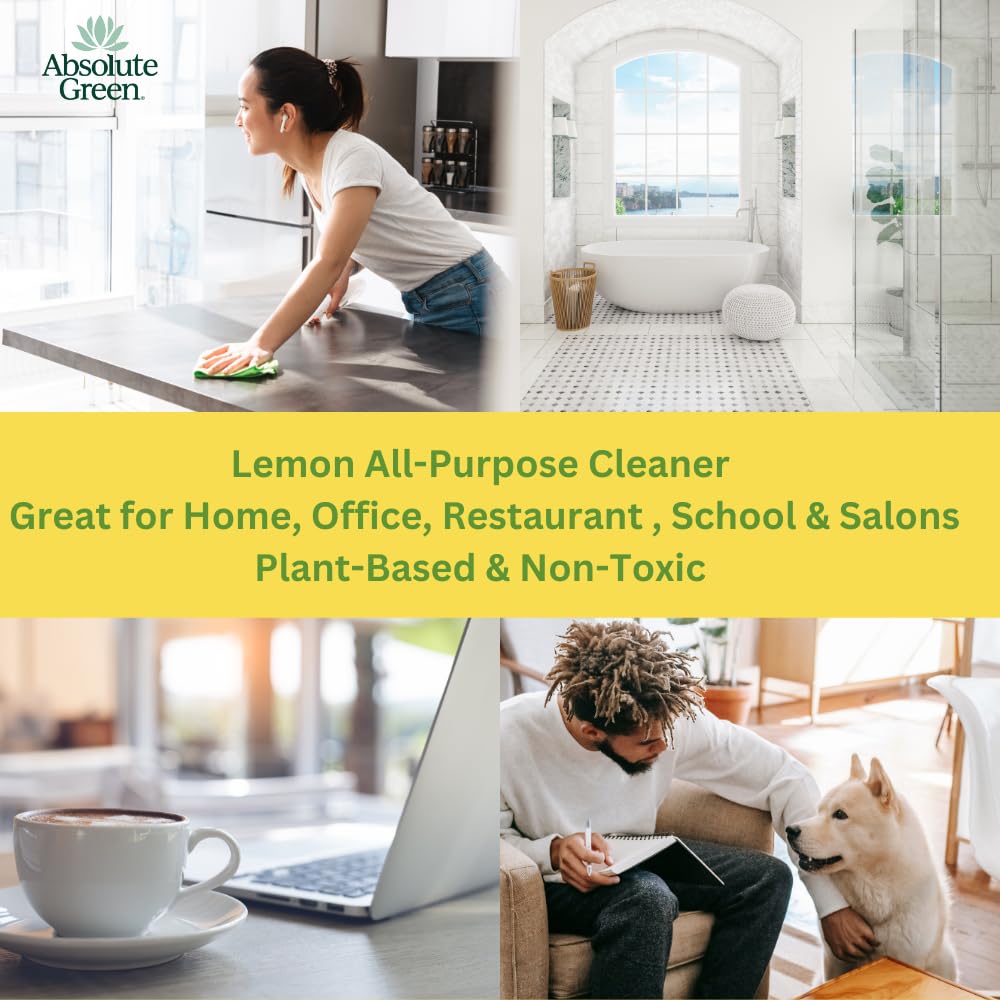 Absolute Green All Purpose Cleaner Spray, Non-Toxic, Kitchen, Bath, Countertop, Stainless, Safe around Kids + Pets, Natural Lemon Scent, 25 oz (6