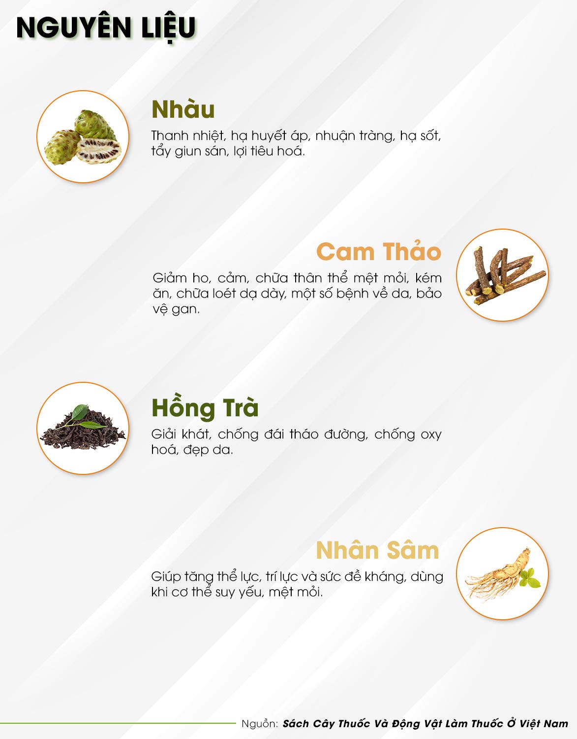 02Boxes (25 Teabags/box x 2g) - Noni Tea Tea Hung Phat - Tra Trai Nhau Hung Phat
