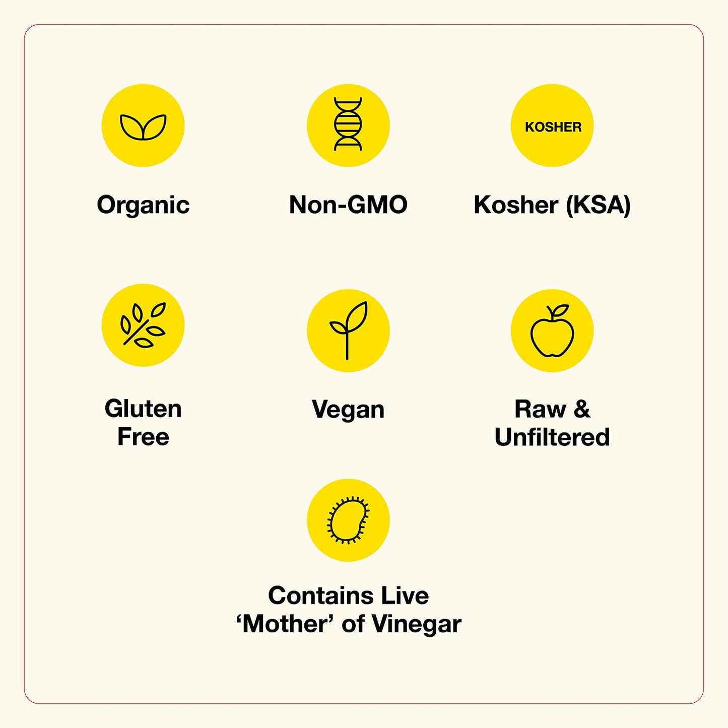 Bragg Organic Apple Cider Vinegar With the Mother- USDA Certified Organic - Raw, Unfiltered All Natural Ingredients, 32 Fl Oz W/Measuring Spoon, 2