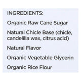 Simplygum Gum Ginger Natural