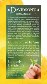 Davidson's Organics, Ayurvedic Infusions, Energize, 25-count Tea Bags, Pack of 6