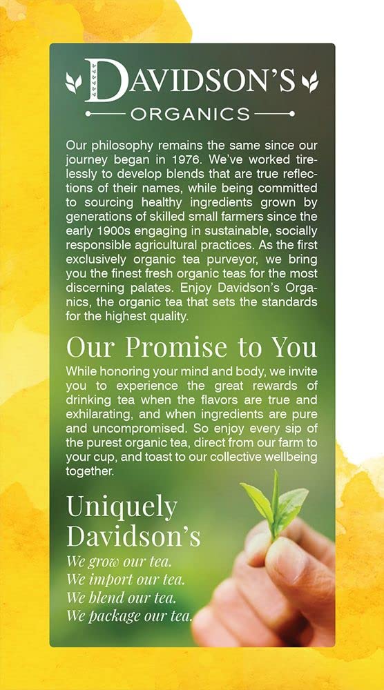 Davidson's Organics, Ayurvedic Infusions, Energize, 25-count Tea Bags, Pack of 6