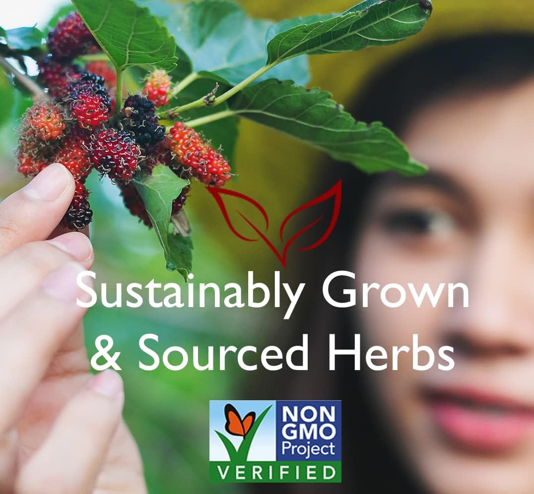 Absolute Hawthorn Berry Herbal Tea