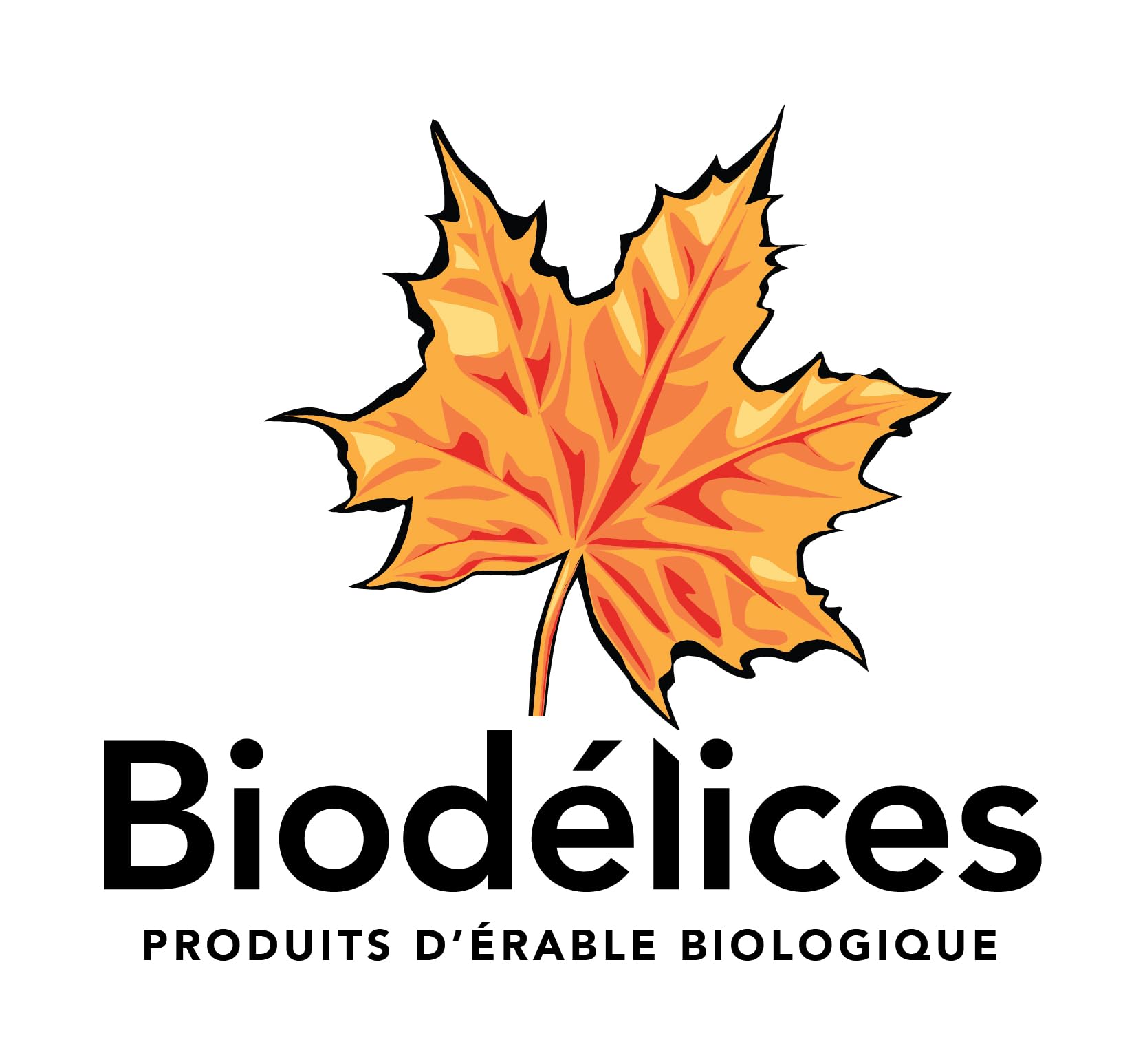 Biodelices Organic Maple Syrup, Maple Butter, Maple Jelly, and Maple Sugar - 100% Pure Maple Syrup - Tasting Pack - Premium Artisan, Natural