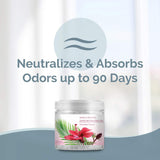 SMELLS BEGONE 14oz Crystal Odor Eliminator - Absorb & Eliminate Odors in Homes, Offices, Bathrooms, Basements, Garage, Cars, RVs & Boats - Remove