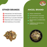 Angel Brand Senna Pods - 0.5 Pouch, Pack of 3 - Senna Pods for Tea and Traditionals Uses.