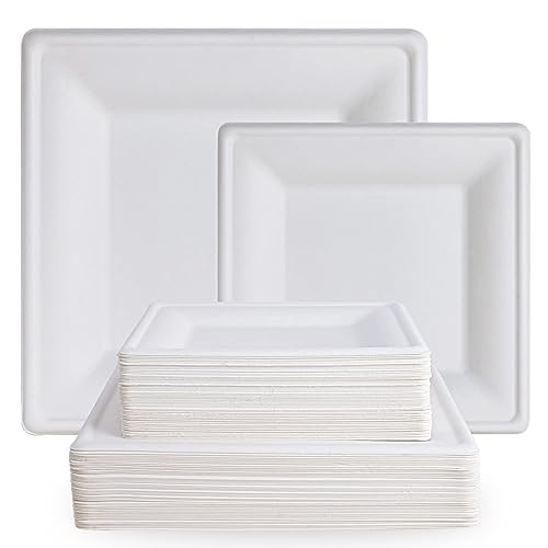 ECOLipak 120 Pack Compostable Paper Plates, 10 inch and 8 inch Heavy Duty Eco friendly Sugarcane Biodegradable Disposable Square Plates for Party