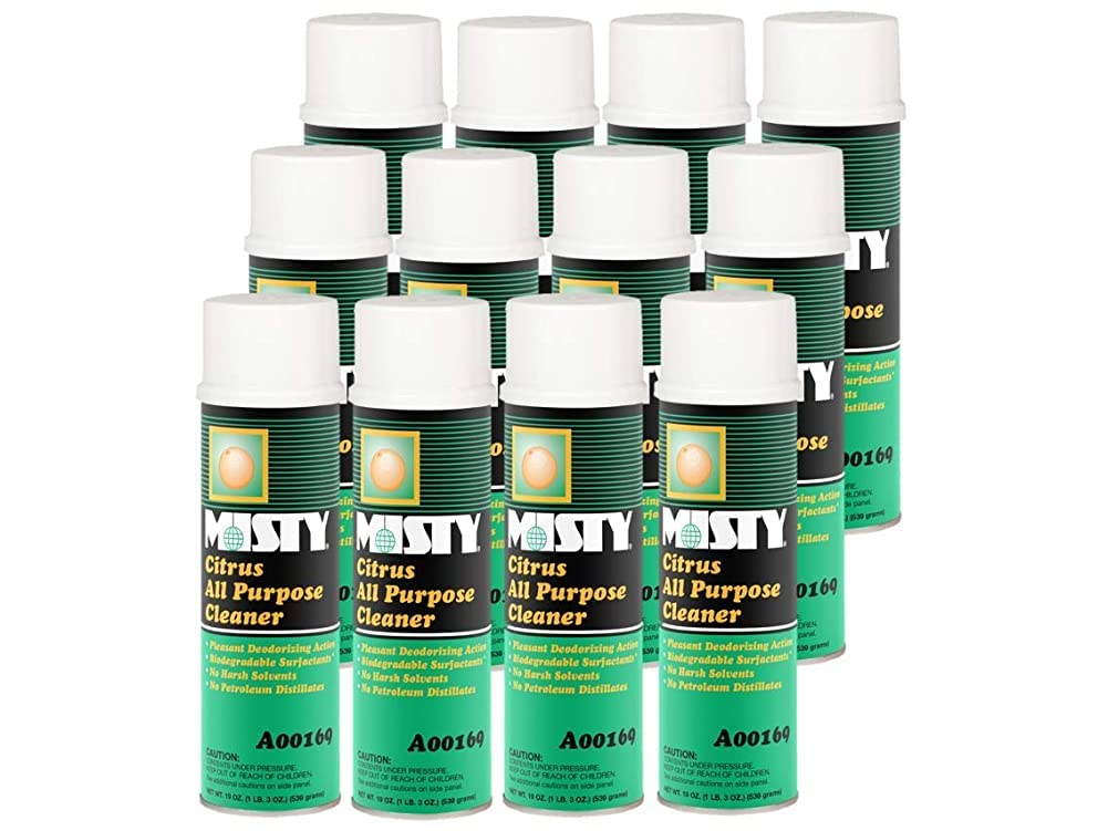 MISTY Citrus All-Purpose Cleaner - 19 oz (Case of 12) 1001583 - Biodegradable Aerosol, For Indoor and Outdoor Use, Fresh Citrus Scent