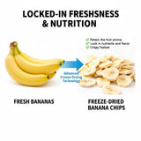 Freeze-Dried Banana Slices, 8.81 Oz | Crispy,Freeze-Dried Fruit Snack | Resealable Jar for Pantry Storage | Great for Travel, Hiking, Camping