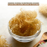 Angel Brand Irish Sea Moss 2 oz Pouch, Pack of 4 - Nutrient-Rich Sea Vegetable Harvested from Clean Ocean Waters - Irish Sea Moss for Smoothies