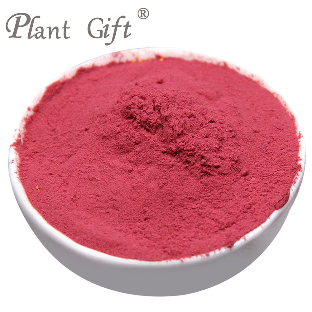 Plant Gift 100% Pure Beetroot Powder ???? Natural Beetroot Flour, Great Flavor for Drinks, Smoothie, Yogurt, Baking, Cookies, Cakes and Beverages
