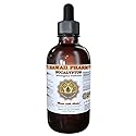 Eucalyptus (Eucalyptus Globulus) Liquid Extract 4 oz