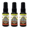 BLUNTPOWER 1oz 100% Concentrated Oil Based Air Fresheners Clean Smell (3)