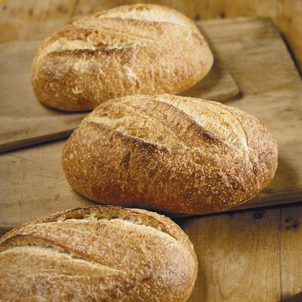 La Brea Bakery Sourdough Loaf, 16 Ounce -- 12 Per Case
