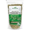 HerbaZest Chanca Piedra Tea (Stonebreaker/Stone Breaker) - 8 oz (225 g) - Wild-Crafted Loose Leaf - Caffeine-Free Herbal Tea - 100% Pure, Non-GMO