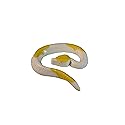The Gummy Bear Guy (TM) | World's Greatest Gummy (TM) - King Snake | Nearly 2.5 Feet Long! (Banana-Strawberry w/Lemon)