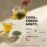 Gya Tea Co Spearmint Leaf Tea Bags (100 Bags) - Caffeine-Free Premium Spearmint Leaves - Non-GMO - Refreshing Mint Tea For Digestion Support