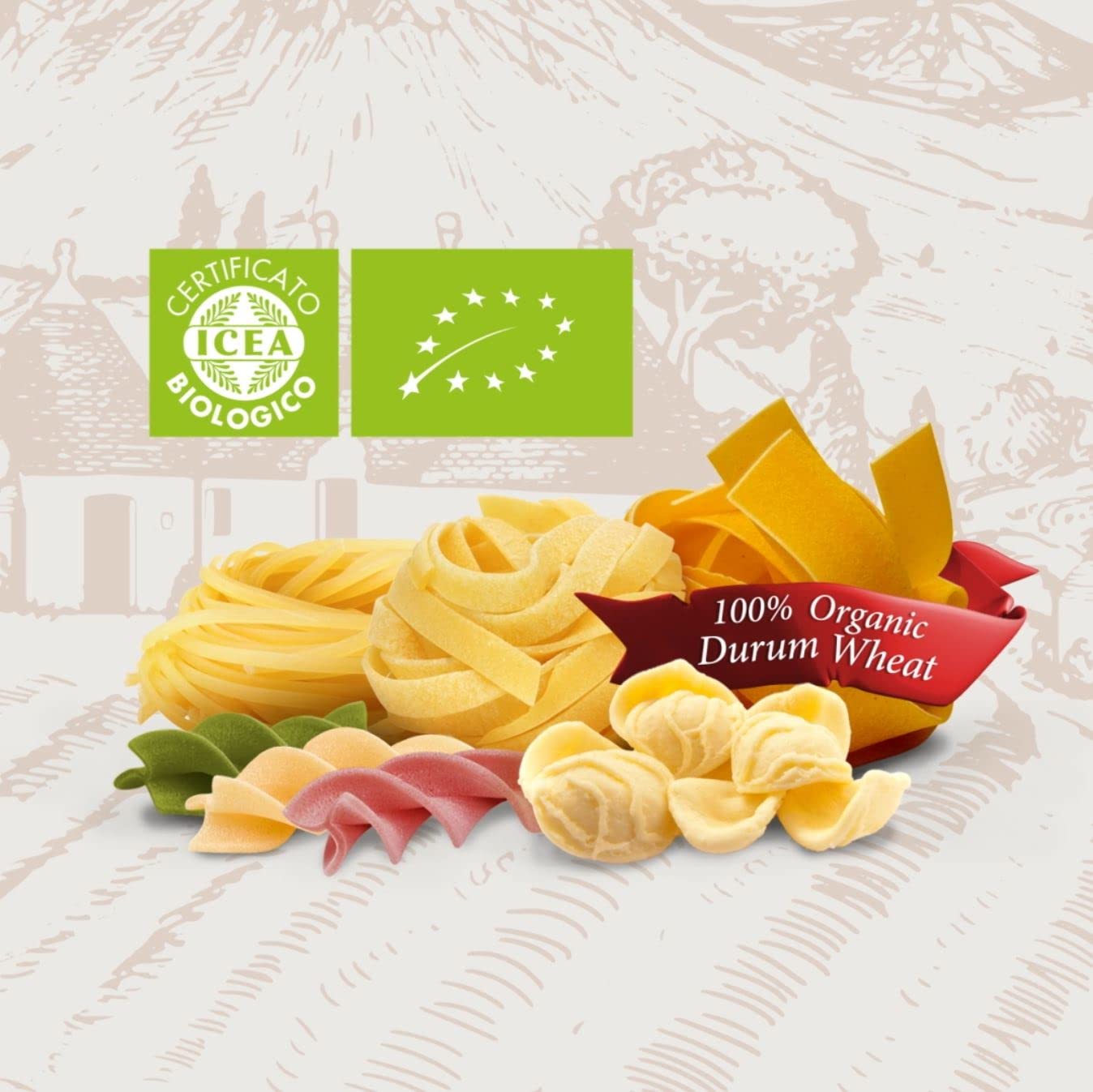 Flora Fine Foods Organic Homestyle Pasta (Homestyle Egg Fettuccine)