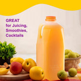 FIJIAN MADE 64 Oz Jugs Bottles (Pack Of 20 x 64 Oz Ea) With White Tamper Evident Screw Caps - Great for Homemade Juices, Milk, Smoothies, Tea