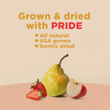 RIND Snacks | Straw-Peary | Strawberry, Apple, & Pear | Dried Fruit Superfood | Chewy Snack | No Sugar Added | All Natural | High in Fiber | Gluten