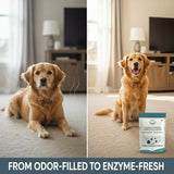 GLAT Group Enzyme-Powered Carpet Deodorizer (Powder) - Mahogany Teakwood | Natural Pet Odor Eliminator | Bio-Enzymatic Formula, Premium Performance