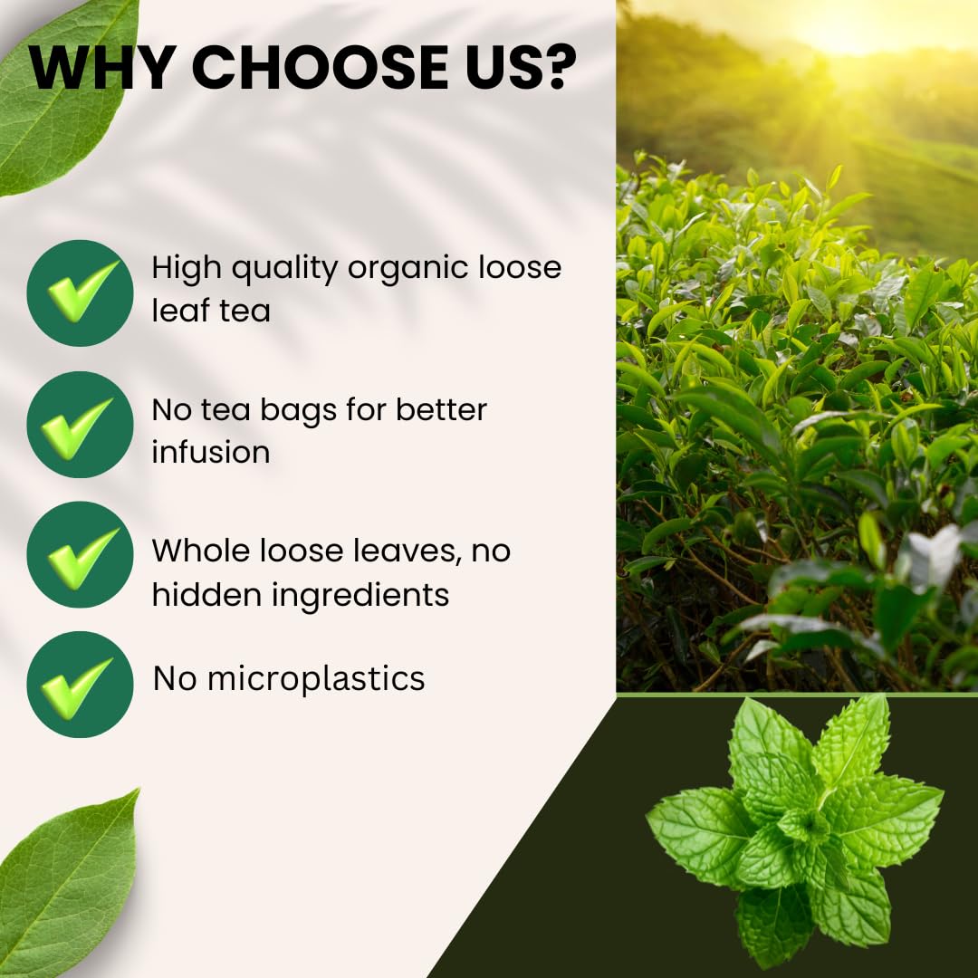 Chamomile Tea Loose Leaf | Organic Chamomile Blossom Tea | Premium Quality for Outstanding Taste and Sweet Floral Aroma | Eco-Conscious Biodegradable