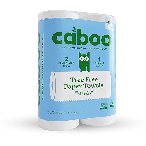 Caboo Tree Free Paper Towels, 2 Rolls, Tree Free, Plastic Free, Earth Friendly, Sustainable Kitchen Paper Towels with Strong 2 Ply Sheets