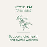 Traditional Medicinals Organic, Nettle Tea - Supports Joint Health & Overall Wellness with Stinging Nettle - Kosher, Non-GMO, Caffeine-Free