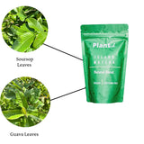 Plantish by Jm - Island Matcha | Soursop & Guava Leaves Herbal Tea Blend Organic Kitchen Spice to Make Ideal 4.0 Ounce